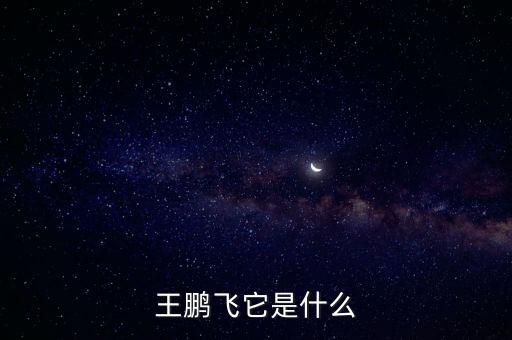 王鵬飛，王鵬飛是誰的誰