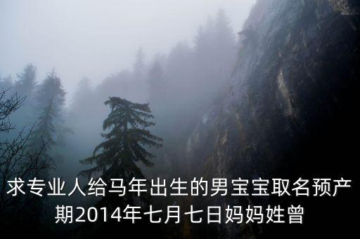 求專業(yè)人給馬年出生的男寶寶取名預(yù)產(chǎn)期2014年七月七日媽媽姓曾