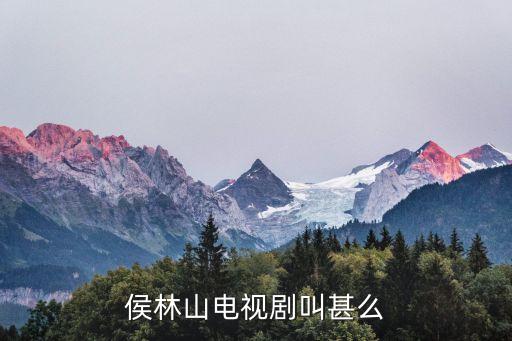 侯林山，侯林山電視劇叫甚么