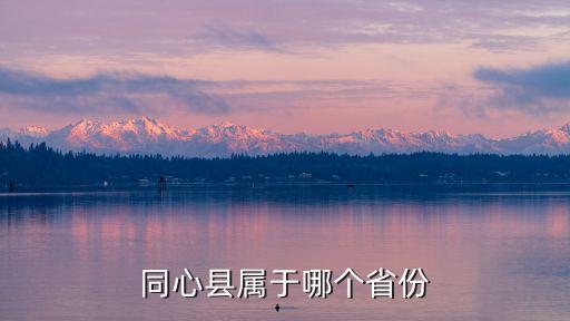寧夏同心，同心縣屬于哪個省份