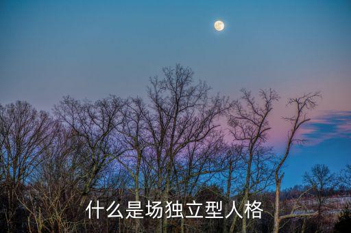 獨(dú)立人格什么意思，公司獨(dú)立人格與股東有限責(zé)任有什么含義