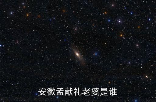 孟獻(xiàn)禮，安徽孟獻(xiàn)禮老婆是誰