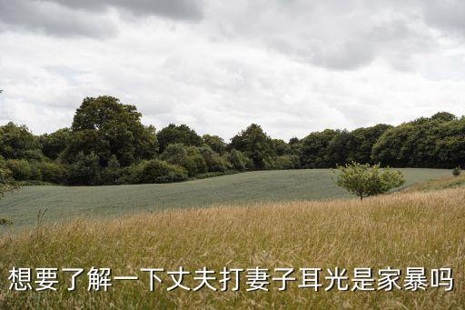 打了一個(gè)耳光算家暴嗎，想要了解一下丈夫打妻子耳光是家暴嗎