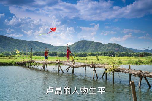 盧晶，盧晶這兩個字怎么拼
