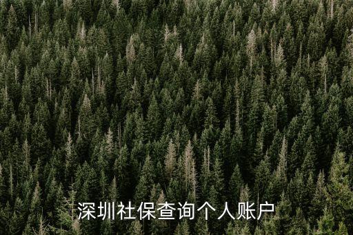 深圳社保查詢個人賬戶