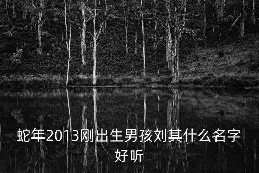劉其昌，我下載了一個小篆字體庫請問怎么弄才能打出小篆字來
