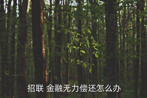  招聯(lián) 金融無力償還怎么辦