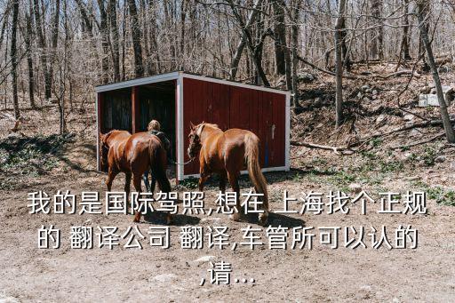 上海外事服務(wù)中心翻譯收費(fèi)