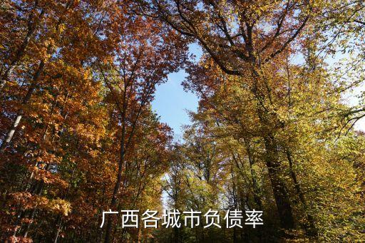 債務規(guī)模,2022年地方債務規(guī)模