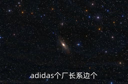 黃振東，adidas個(gè)廠長系邊個(gè)