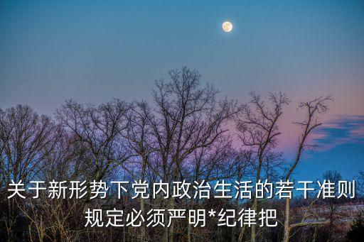 若干準(zhǔn)則，關(guān)于新形勢下黨內(nèi)政治生活的若干準(zhǔn)則一共有多少條
