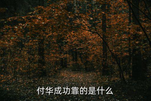 付華，付華成功靠的是什么