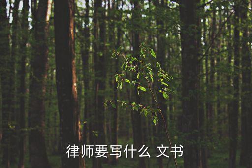 律師要寫什么 文書