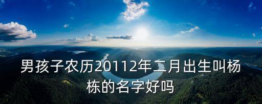 男孩子農歷20112年二月出生叫楊棟的名字好嗎