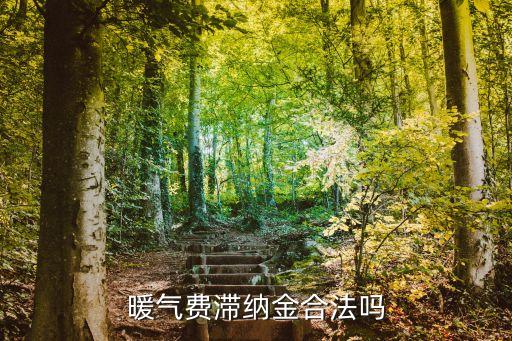 供暖費違約金的法律規(guī)定上限,租賃合同違約金的法律規(guī)定上限