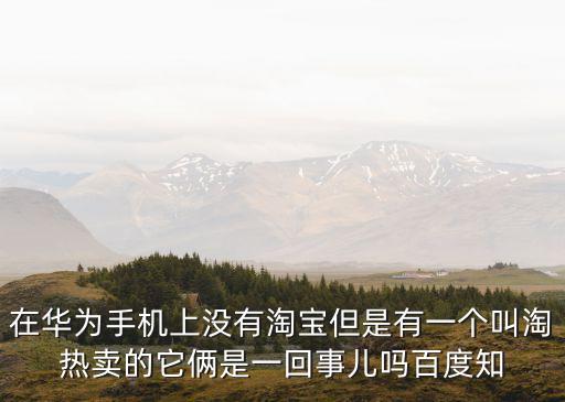 淘熱賣，淘寶主頁上的淘寶熱賣怎么不見了