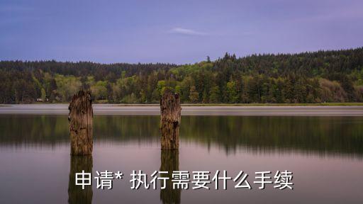 申請執(zhí)行