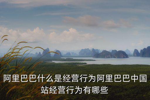 阿里巴巴什么是經(jīng)營行為阿里巴巴中國站經(jīng)營行為有哪些