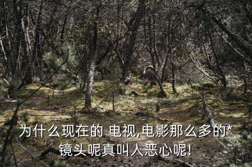 為什么現在的 電視,電影那么多的*鏡頭呢真叫人惡心呢!