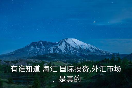 海匯國(guó)際