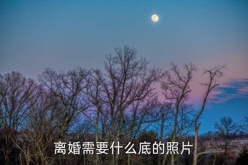 離婚需要什么底的照片