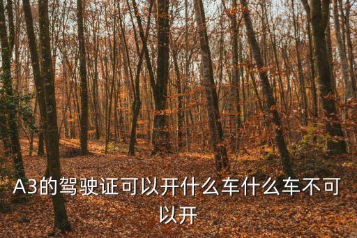 a3駕駛證，A3的駕駛證可以開什么車什么車不可以開
