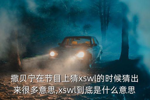 bhys什么意思,Bhys是什么意思