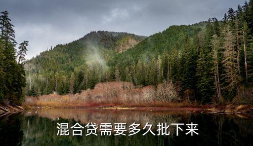 混合貸款