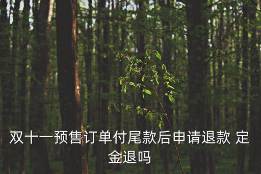 買家電交了定金可以退嗎