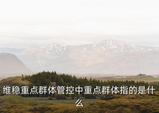 維穩(wěn)重點(diǎn)群體管控中重點(diǎn)群體指的是什么