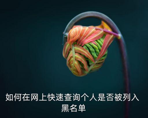 如何在網(wǎng)上快速查詢個(gè)人是否被列入 黑名單