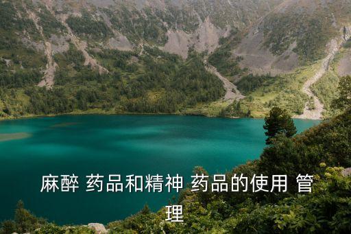  麻醉 藥品和精神 藥品的使用 管理