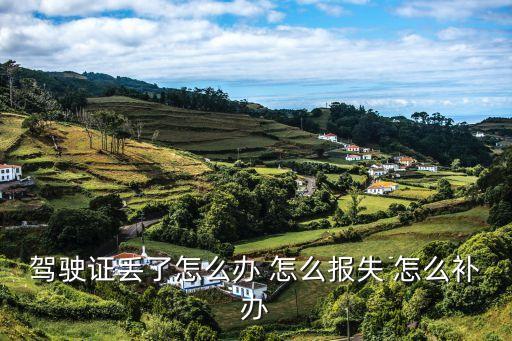 駕駛證丟了，駕駛證丟失了去哪辦