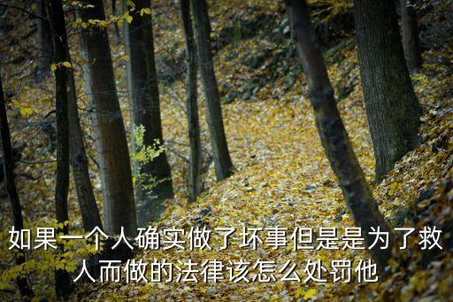 如果一個(gè)人確實(shí)做了壞事但是是為了救人而做的法律該怎么處罰他