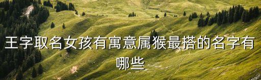 王意