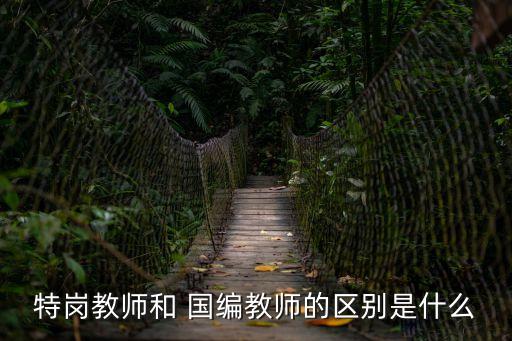 國編