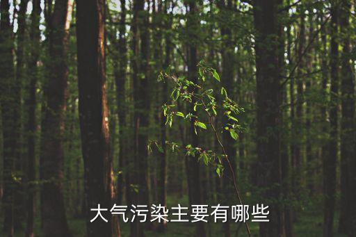  大氣污染主要有哪些