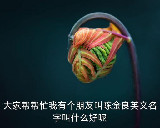 陳金良，圓通公司老總叫什么名字
