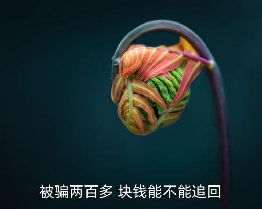 被騙了200塊錢怎么辦,初中生被騙了200塊怎么辦