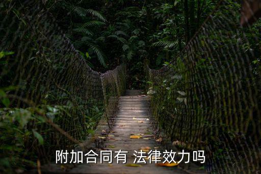 補(bǔ)充協(xié)議在法律上有效果嗎
