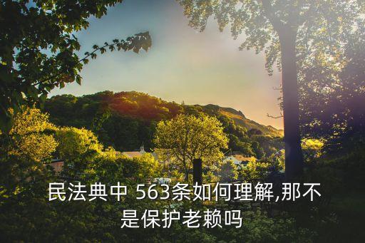  民法典中 563條如何理解,那不是保護老賴嗎