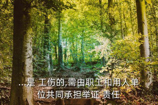 ...是 工傷的,需由職工和用人單位共同承擔(dān)舉證 責(zé)任
