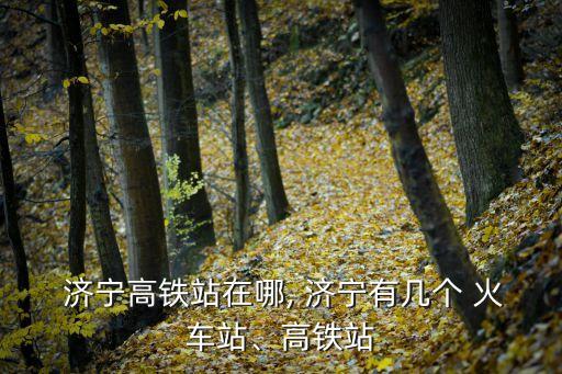  濟(jì)寧高鐵站在哪, 濟(jì)寧有幾個 火車站、高鐵站