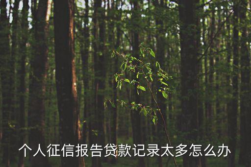 個人征信報告貸款記錄太多怎么辦