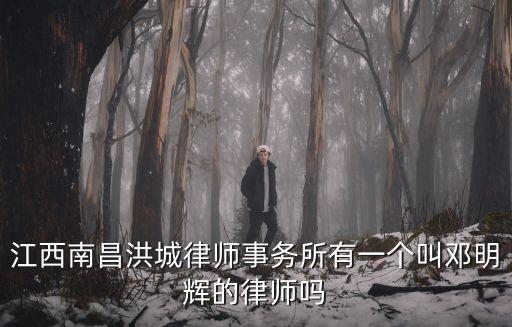 江西南昌洪城律師事務(wù)所有一個叫鄧明輝的律師嗎