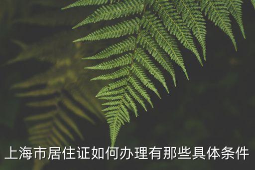 上海市居住證，上海市居住證如何辦理有那些具體條件