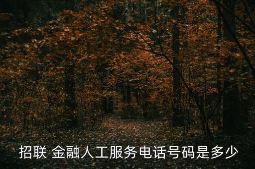 招聯(lián)金融客服