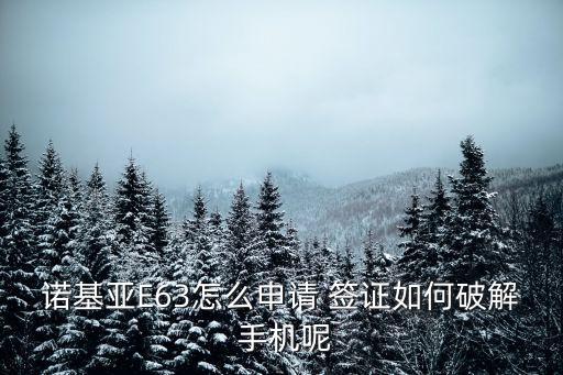 手機(jī)簽證