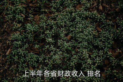 全國人均收入排名,中國全國人均收入排名