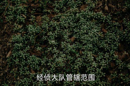  經(jīng)偵大隊管轄范圍